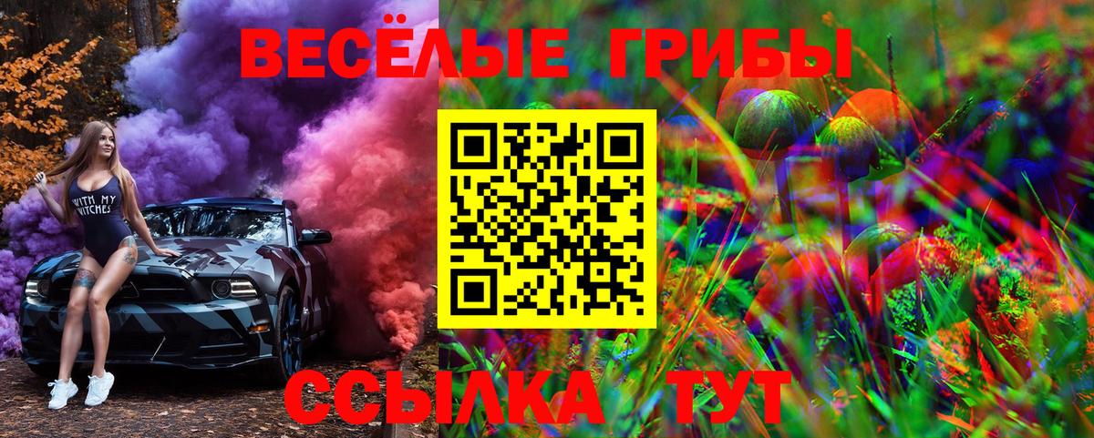 Галлюциногенные грибы Psilocybe Орёл