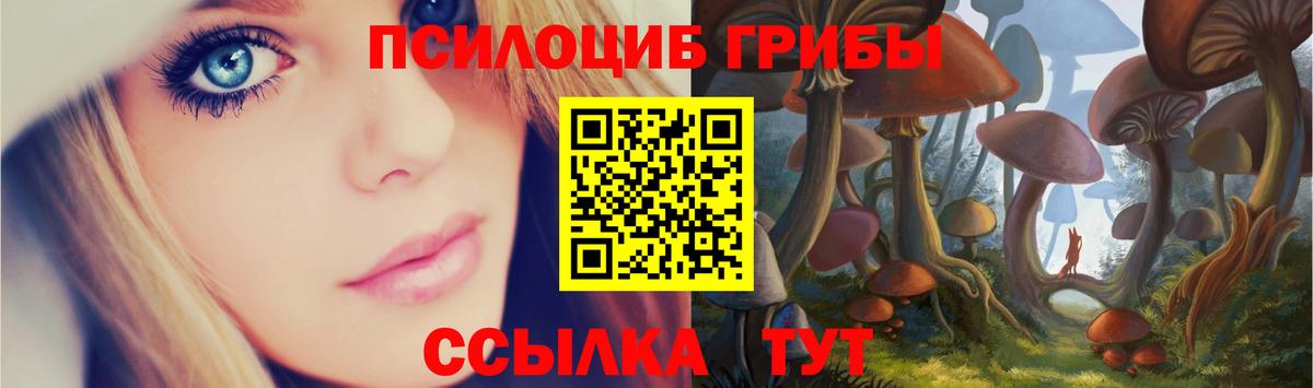 Орёл  Псилоцибиновые грибы GOLDEN TEACHER  Вход с VPN 
